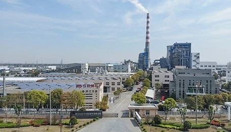 2009